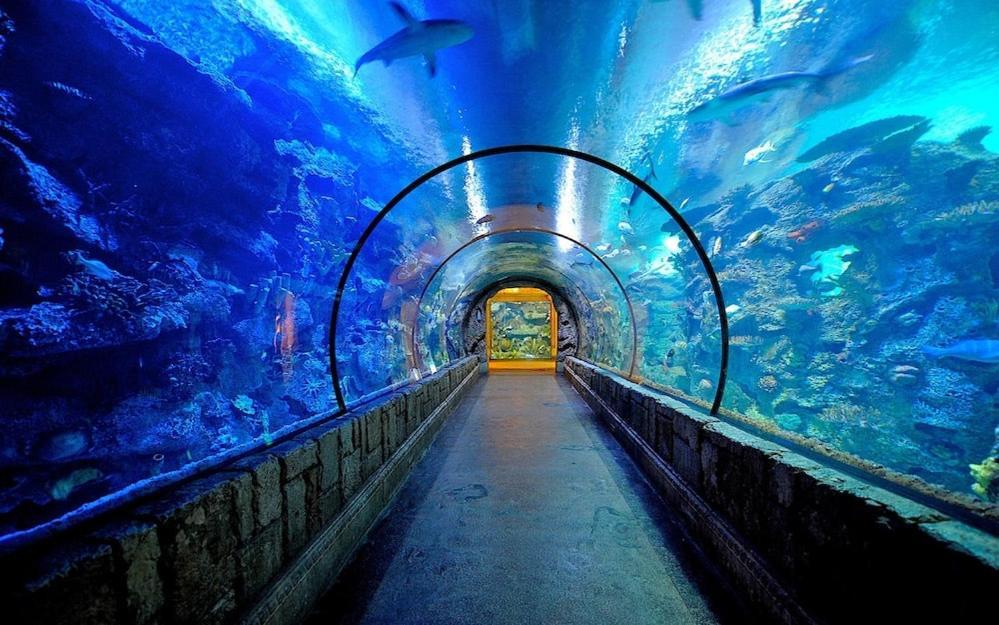 Mandalay Bay Resort And Casino By Suiteness Las Vegas Buitenkant foto